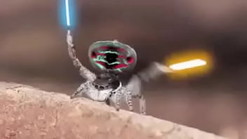 Video bokep part 76742633