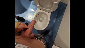 Fucking in the toilet