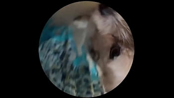 Even tbe senior dog getting on this trend #pedropedropedro