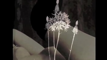 Vintage silent films