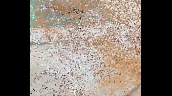 O melhor está na minha subscrição the best is in my subscription