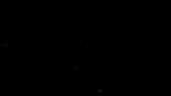 Big booty tattoo slut candi cakes takes on huge bbc