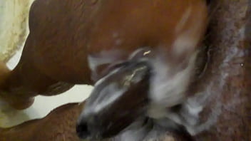 Bubles and bubles penis