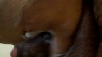 Bubles and bubles penis