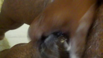 Bubles and bubles penis