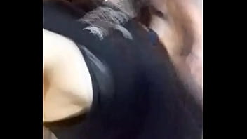 Mientras el lobo no está