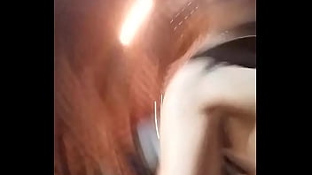 Mientras el lobo no está