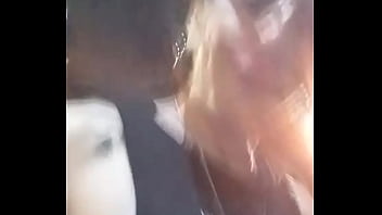 Mientras el lobo no está