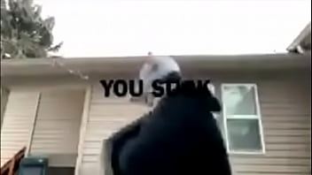 Reggie the rat trap is sexy