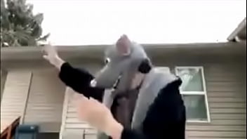 Reggie the rat trap is sexy