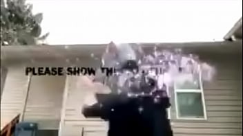 Reggie the rat trap is sexy