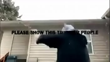 Reggie the rat trap is sexy