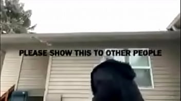 Reggie the rat trap is sexy