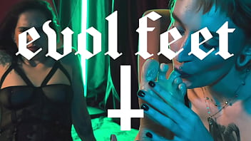 Now they just want to kiss feet covered with honey