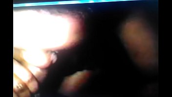 Beautiful black hoe loves to sallow