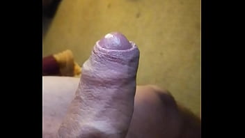 Te la pondré en la cola Te la pondré en la cola