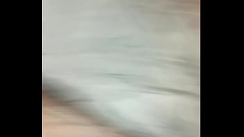 Minha cachorra manauara