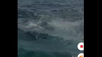 20170912 005408 edited