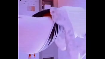 Bom dia pq acordei agora