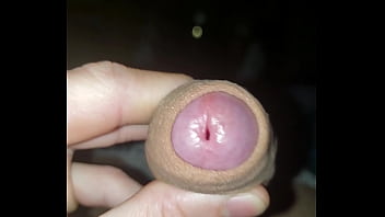 Pauzudo Gozando Na Punheta thumbnail