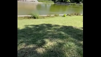 Meowww update #87 2024 07 11t21 01 10 000z