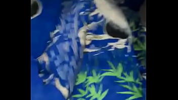 Vídeo de verificación