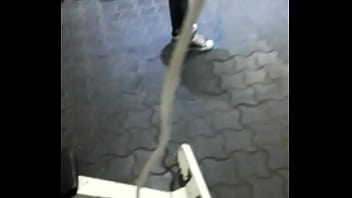 Culona En El Gym thumbnail