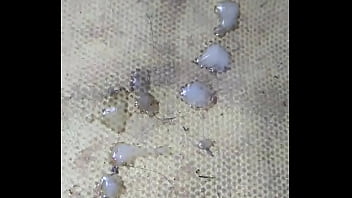 Vid 20170711 Wa0145 thumbnail