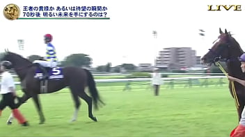 スプリンターズステークス　三浦皇成　ウインカーネリアン