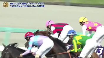 スプリンターズステークス 三浦皇成 ウインカーネリアン スプリンターズステークス 三浦皇成 ウインカーネリアン