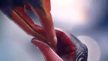 Vid 20170418 Wa0002 thumbnail