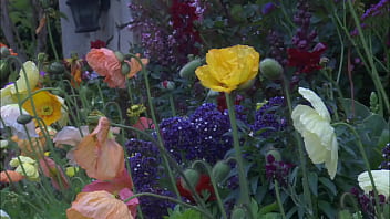 Laurie vargas drinks sperm out of his thick dick after she cums on it