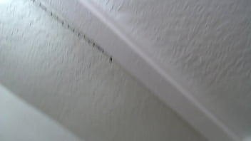 Roleplay mike has long dreamed off a woman like this in his life from dawnskye1962