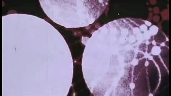 Retro erotic drawings