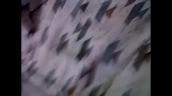 Panameña Lapecilla Pajisa thumbnail