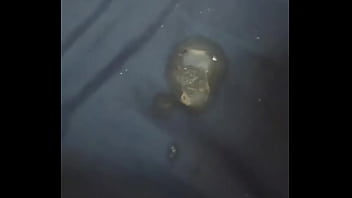 Alineflavio update #162 vid 20241019 125821 4 oct 21 2024