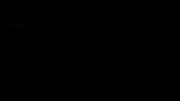 A story about a lewd layerer who cosplays as bremerton and has fun in the toilet