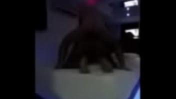 Novinho Socador thumbnail