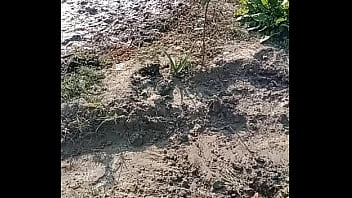 वेरीफ़िकेशन विडियो