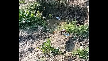 वेरीफ़िकेशन विडियो