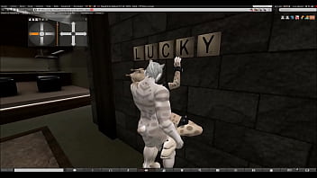 Did a video for my feline friends