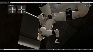 Did a video for my feline friends