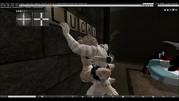 Did a video for my feline friends