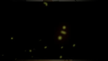 Sexy latina suck and fuck a big long dick