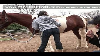 Tiffantyle 1st tianal new