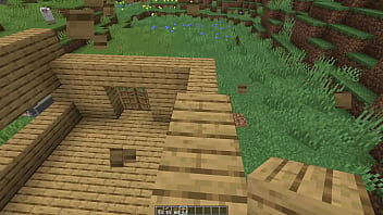 Make a minecraft house 1 18 1