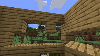 Make a minecraft house 1 18 1