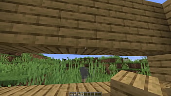 Make a minecraft house 1 18 1