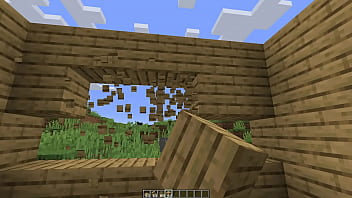 Make a minecraft house 1 18 1