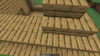 Make a minecraft house 1 18 1